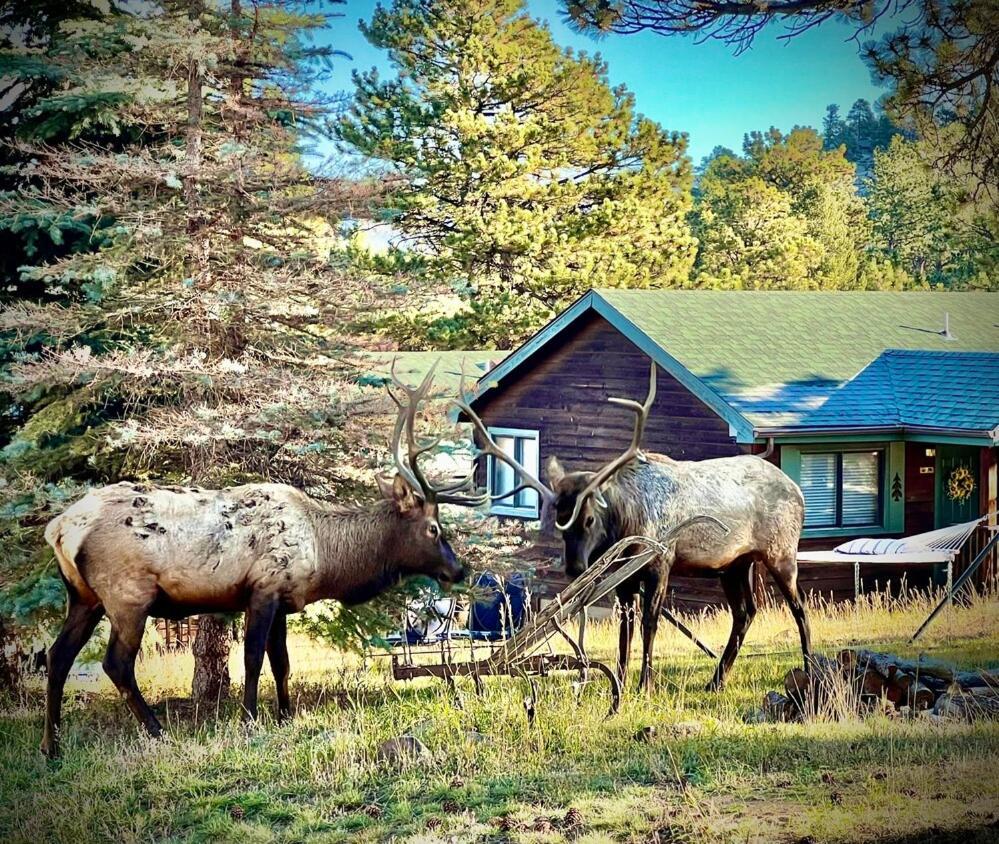 Mountain Shadows Resort Estes Park Exteriér fotografie