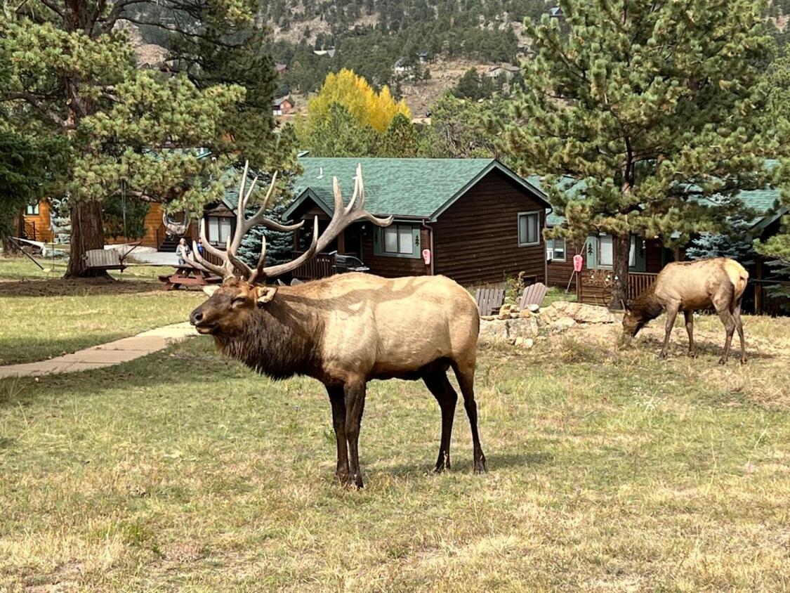 Mountain Shadows Resort Estes Park Exteriér fotografie