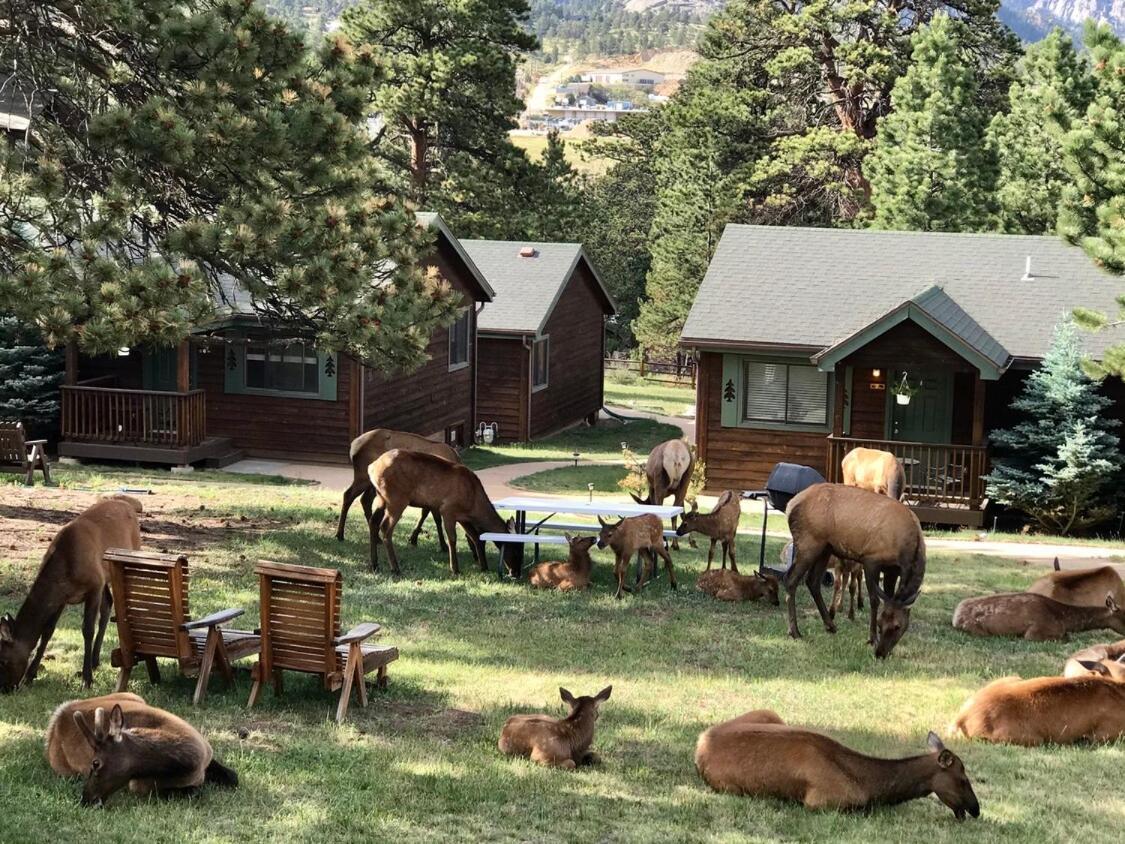 Mountain Shadows Resort Estes Park Exteriér fotografie