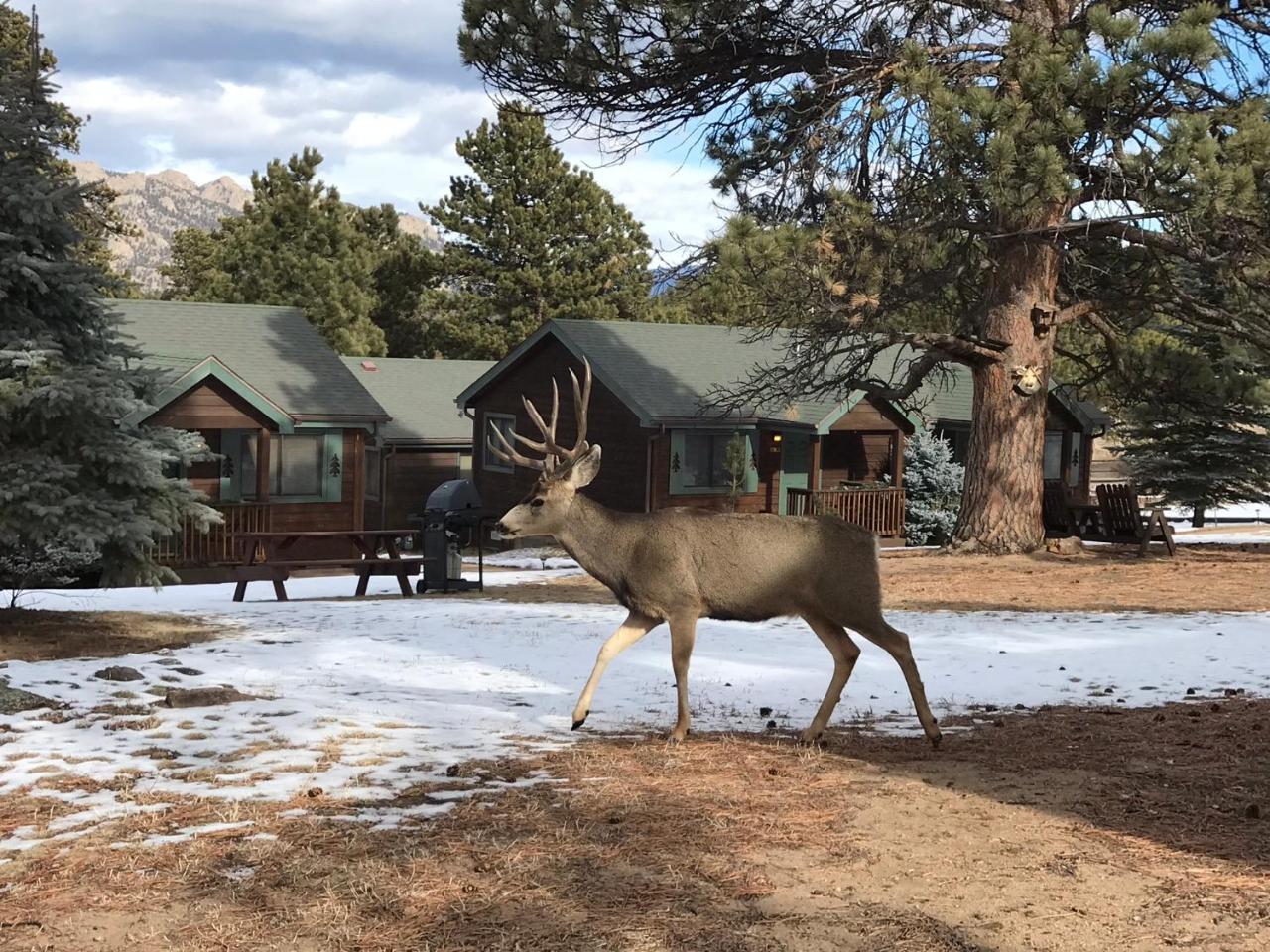 Mountain Shadows Resort Estes Park Exteriér fotografie