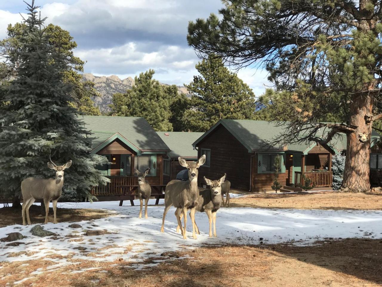 Mountain Shadows Resort Estes Park Exteriér fotografie